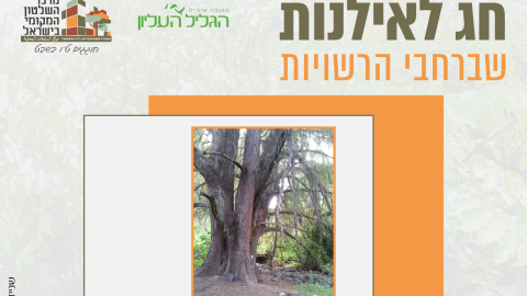 16153_tu_bishvat_rashuyot016.png