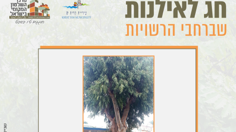 16153_tu_bishvat_rashuyot0118.png