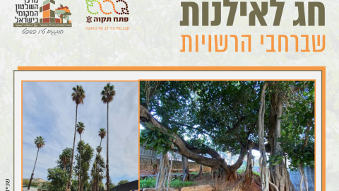 16153_tu_bishvat_rashuyot014.png