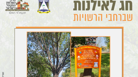 16153_tu_bishvat_rashuyot0122.png